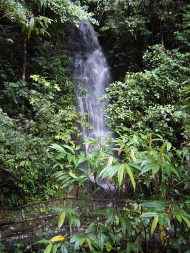 Carson Falls